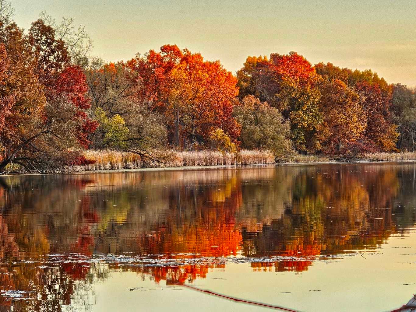 Kensington Metropark, Michigan, USA